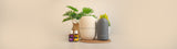 Diffuser/Accessories