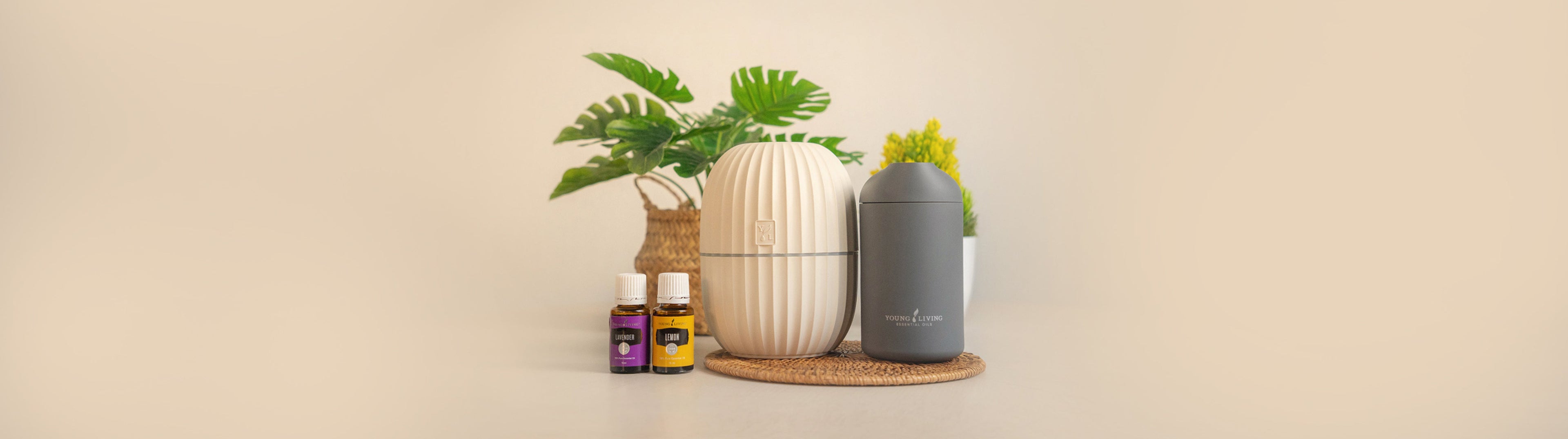Diffuser/Accessories