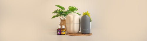 Diffuser/Accessories